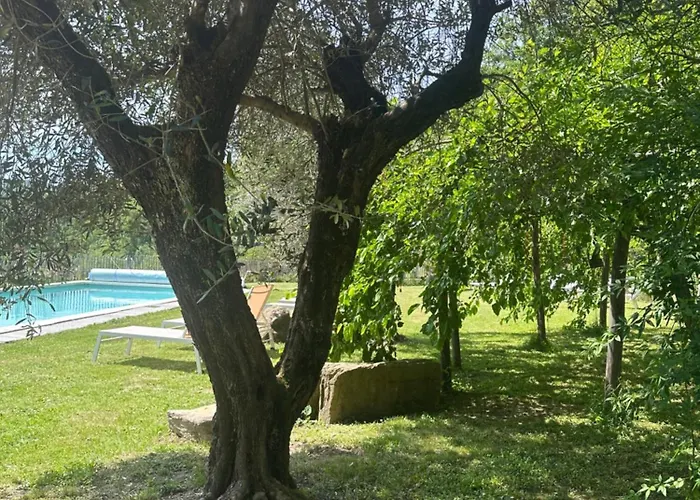 Collina Di Sopra Tresana